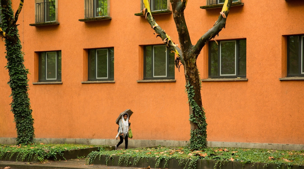 Stuttgart-West showing street scenes as well as an individual femail