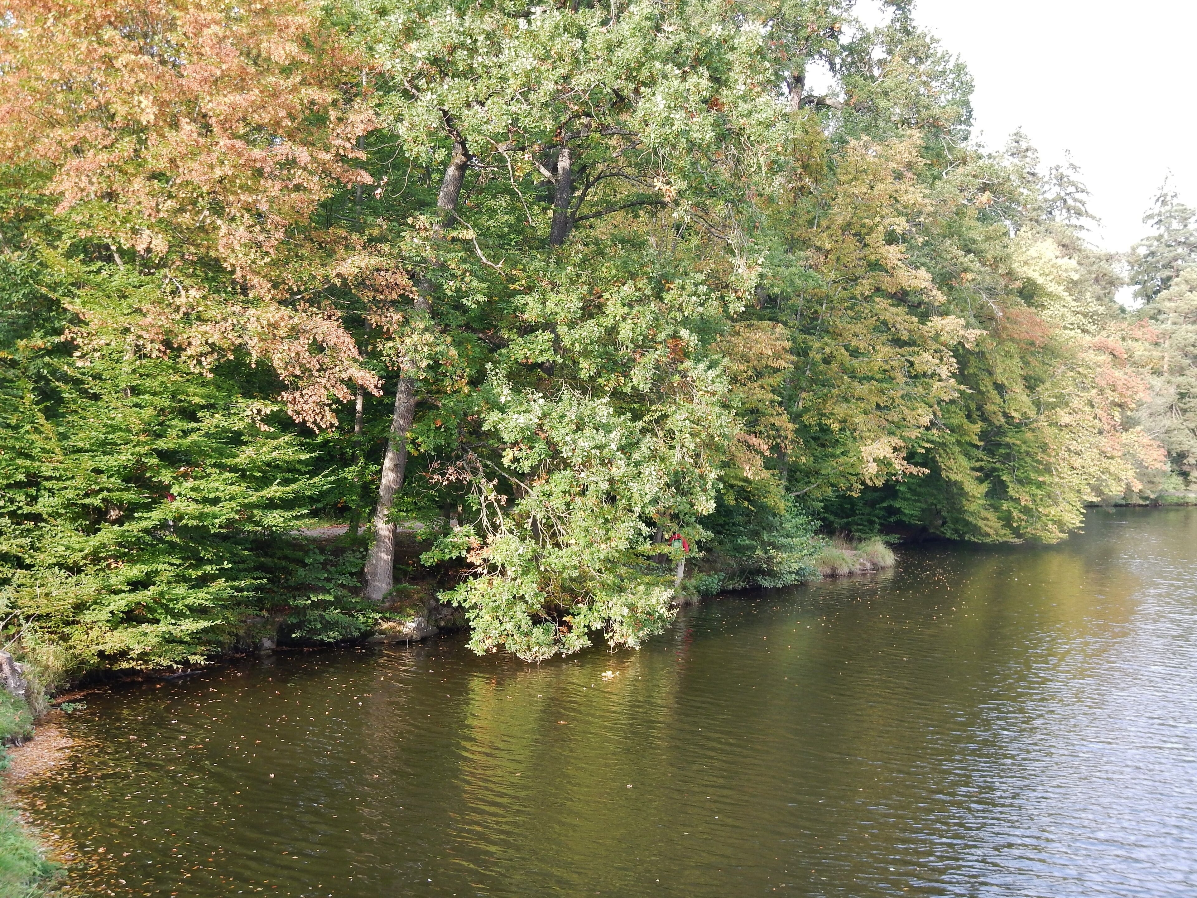 Pfaffensee im Wildpark in Stuttgart