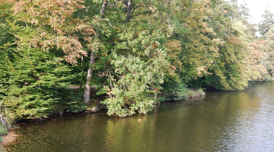 Pfaffensee im Wildpark in Stuttgart