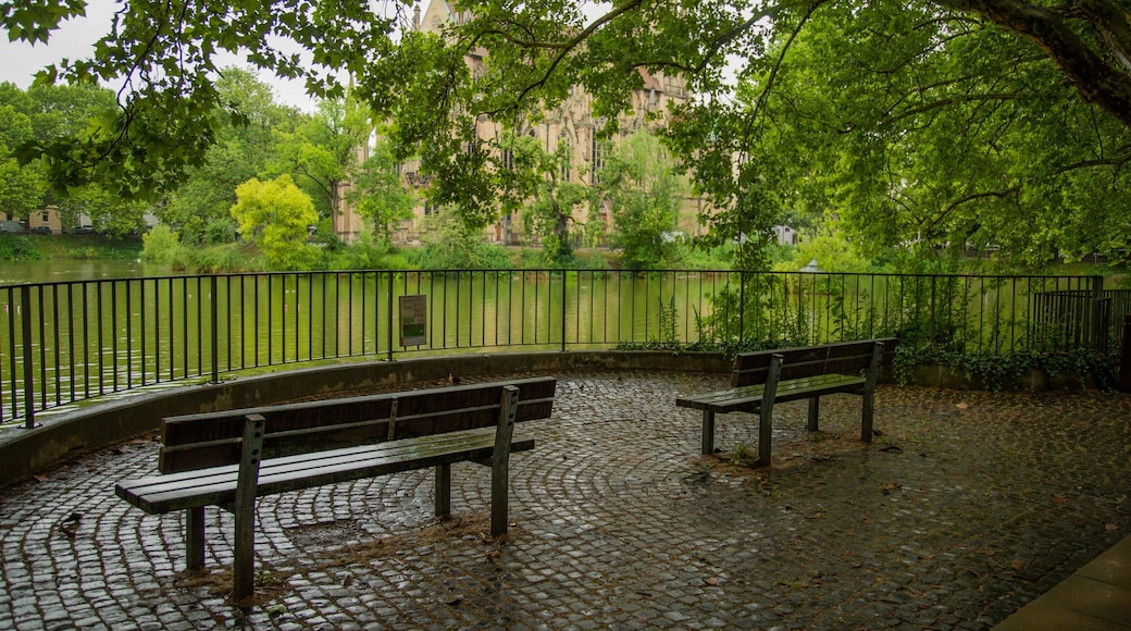 Stuttgart-West showing a pond