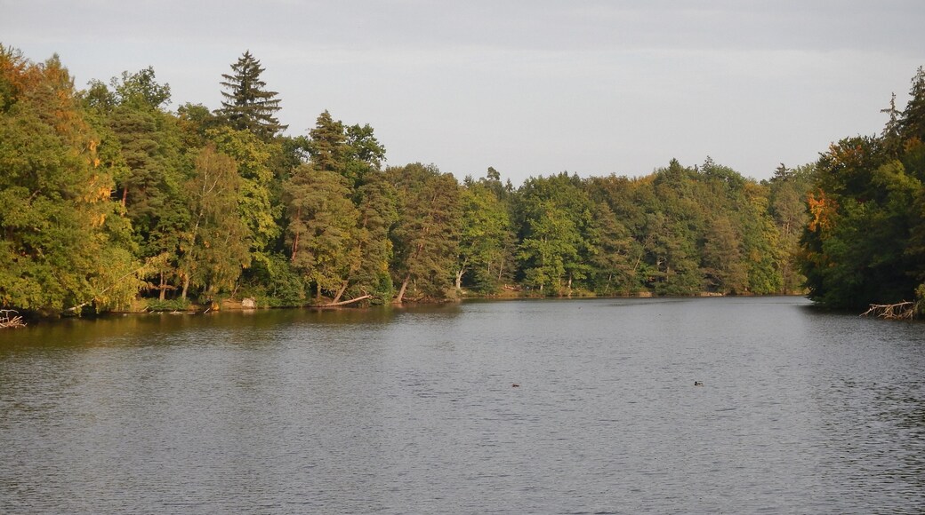 Pfaffensee im Wildpark Stuttgart