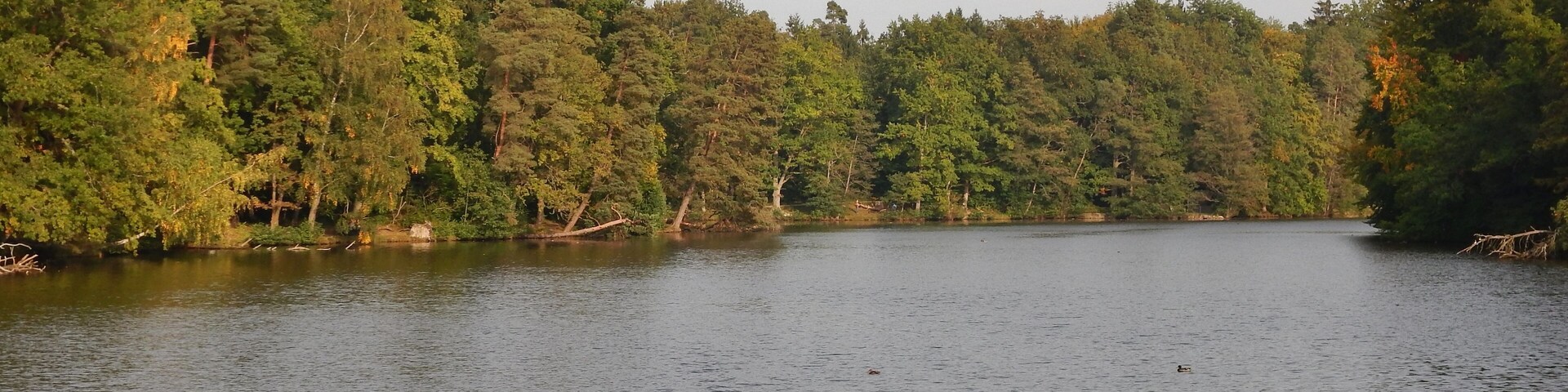 Pfaffensee im Wildpark Stuttgart