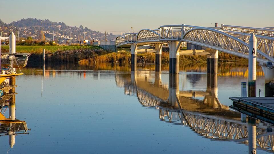 A bridge over a calm river with a cityscape in the background.