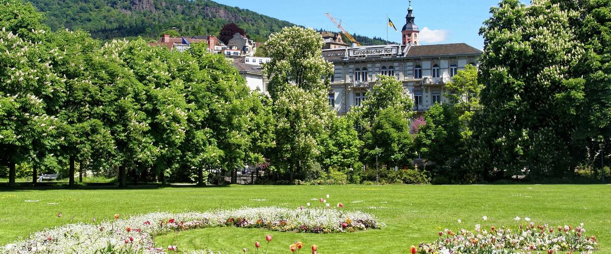 Baden Baden - View ENE