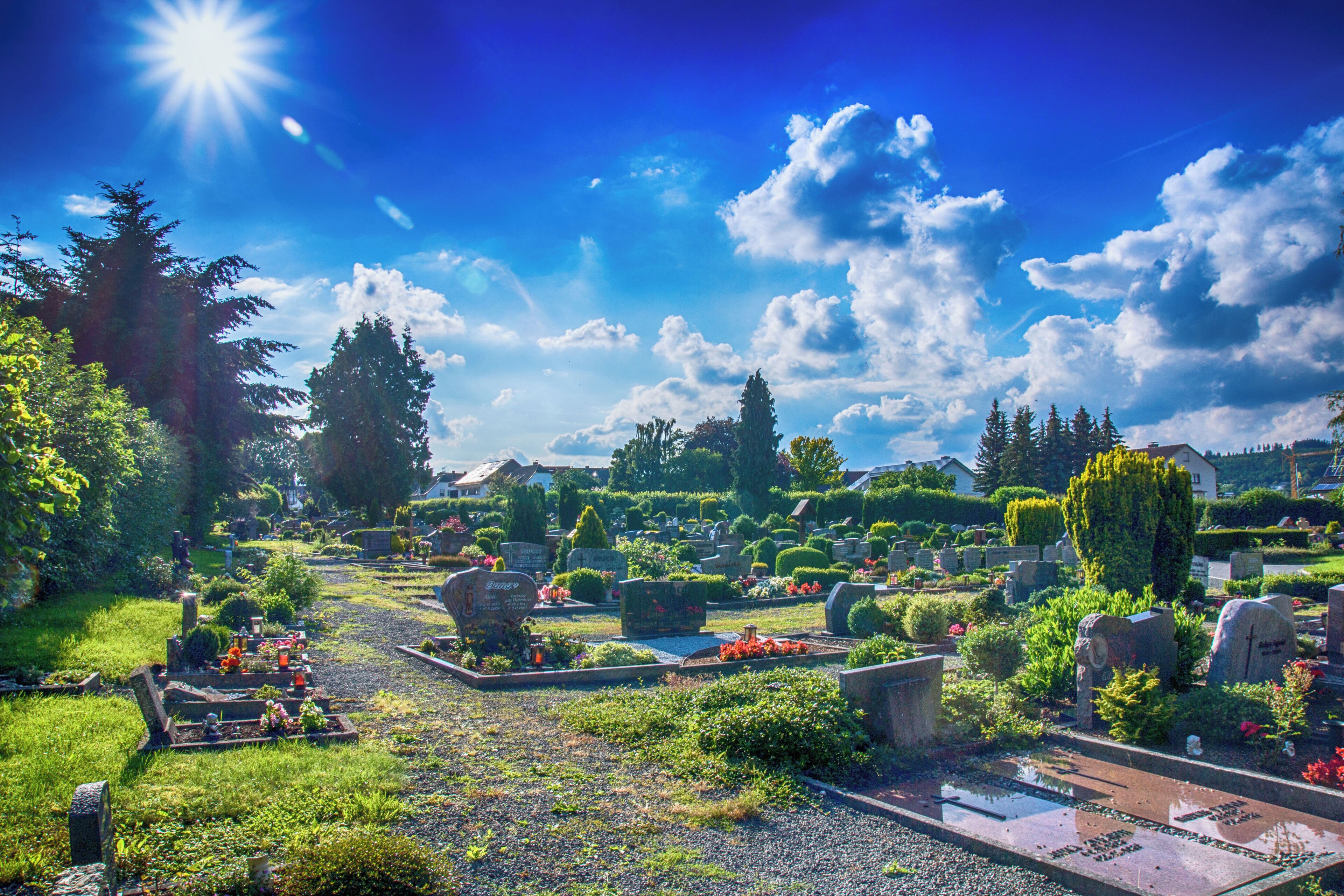 A cemetery with gravestones, trees, and a clear blue sky.