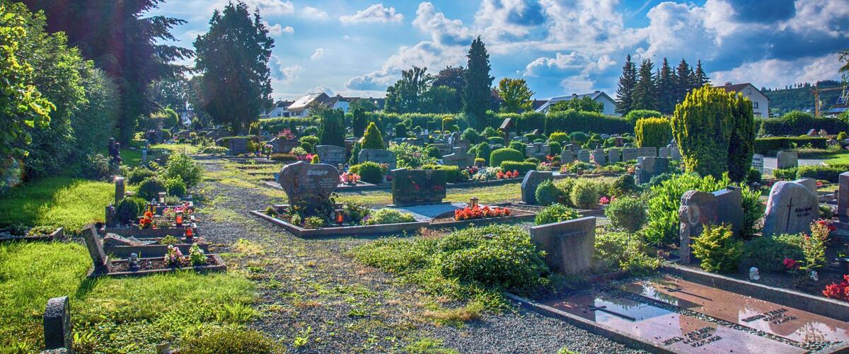 A cemetery with gravestones, trees, and a clear blue sky.