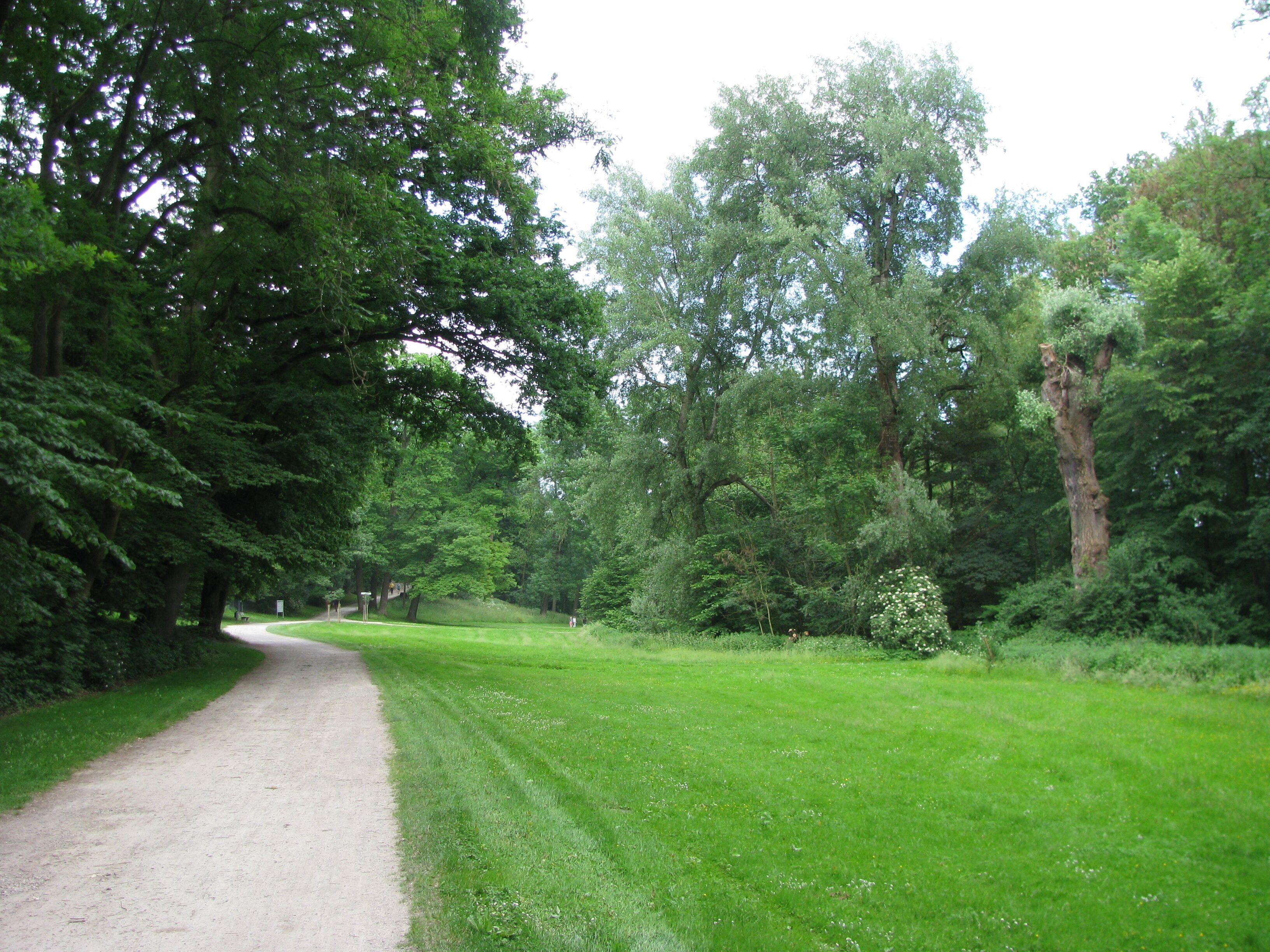 die Wiese im westlichen Bereich des Park Schönfeld