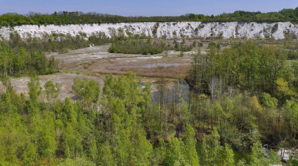 Naturschutzgebiet Mergelgrube bei Hannover (HPC I), NSG-HA 205: Hier schaut man von einer über den Portlandweg erreichbaren Aussichtskanzel über das NSG mit seinem Kalkniedermoor, Auf der Sohle befinden sich Moorflächen, Tümpel, Seen, Wasserläufe, Baumgruppen und Schilfgürtel.