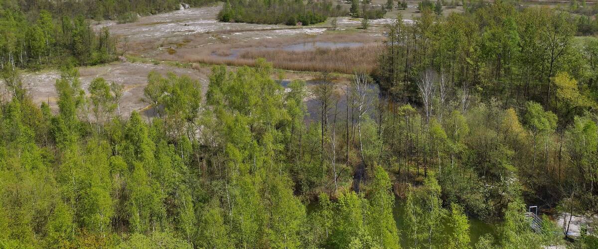 Naturschutzgebiet Mergelgrube bei Hannover (HPC I), NSG-HA 205: Hier schaut man von einer รผber den Portlandweg erreichbaren Aussichtskanzel รผber das NSG mit seinem Kalkniedermoor, Auf der Sohle befinden sich Moorflรคchen, Tรผmpel, Seen, Wasserlรคufe, Baumgruppen und Schilfgรผrtel.