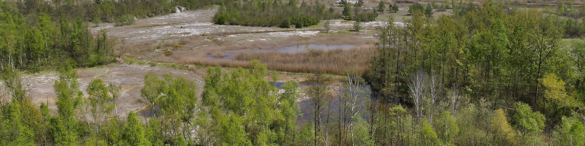 Naturschutzgebiet Mergelgrube bei Hannover (HPC I), NSG-HA 205: Hier schaut man von einer über den Portlandweg erreichbaren Aussichtskanzel über das NSG mit seinem Kalkniedermoor, Auf der Sohle befinden sich Moorflächen, Tümpel, Seen, Wasserläufe, Baumgruppen und Schilfgürtel.