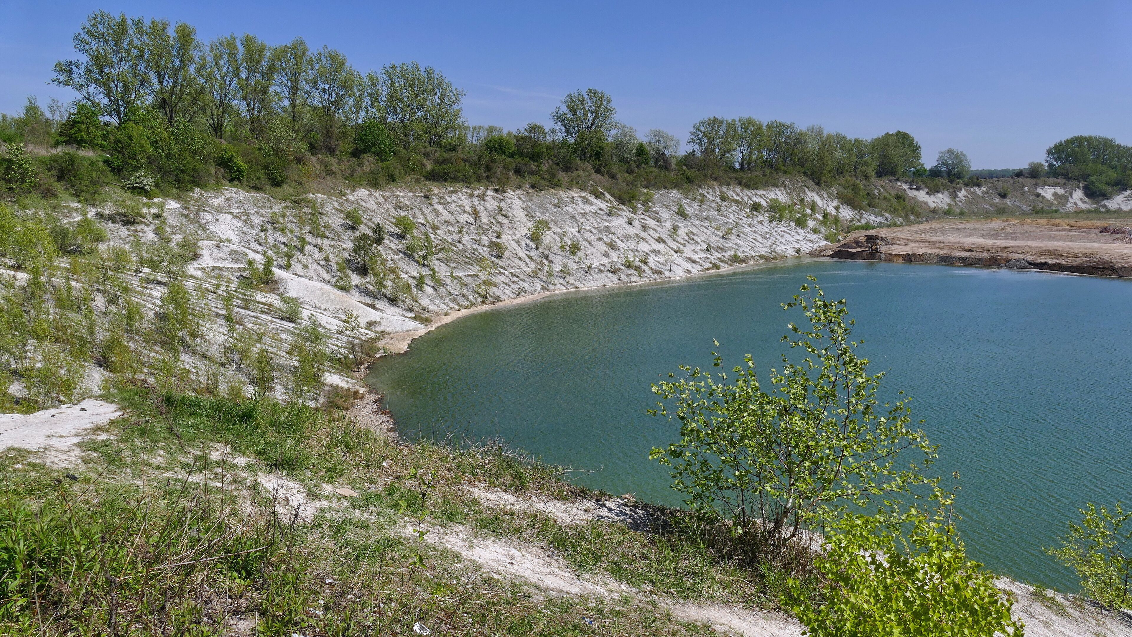 Geotop Grube II der Hannoverschen Portland-Cementfabrik AG: Blick nach Nordosten, im Hintergrund ist die Verfüllung zu sehen.