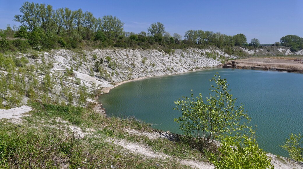 Geotop Grube II der Hannoverschen Portland-Cementfabrik AG: Blick nach Nordosten, im Hintergrund ist die Verfüllung zu sehen.