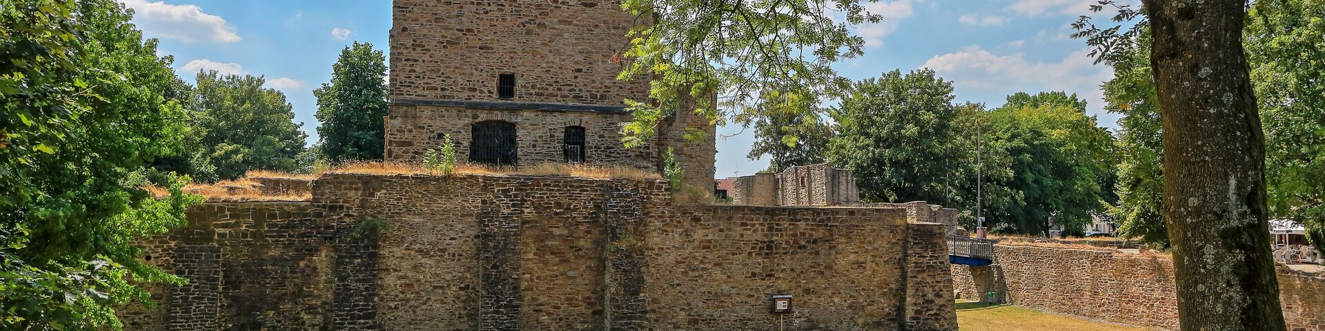 Un château de pierre historique, doté d’une haute tour, entouré d’un champ verdoyant et d’arbres.
