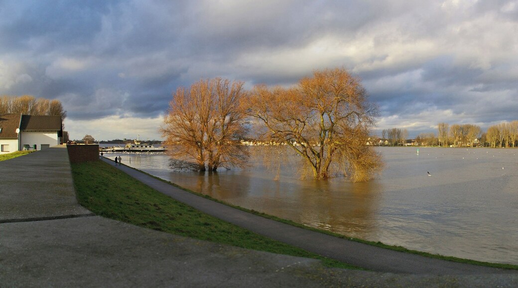 Hochwasser 26.12.2012