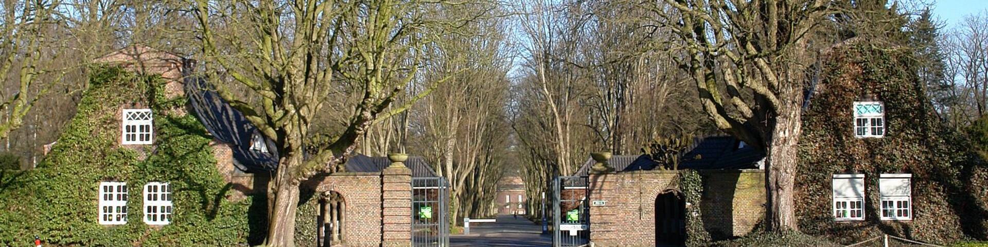 A gated entrance with ivy-covered brick walls and trees lining the path.