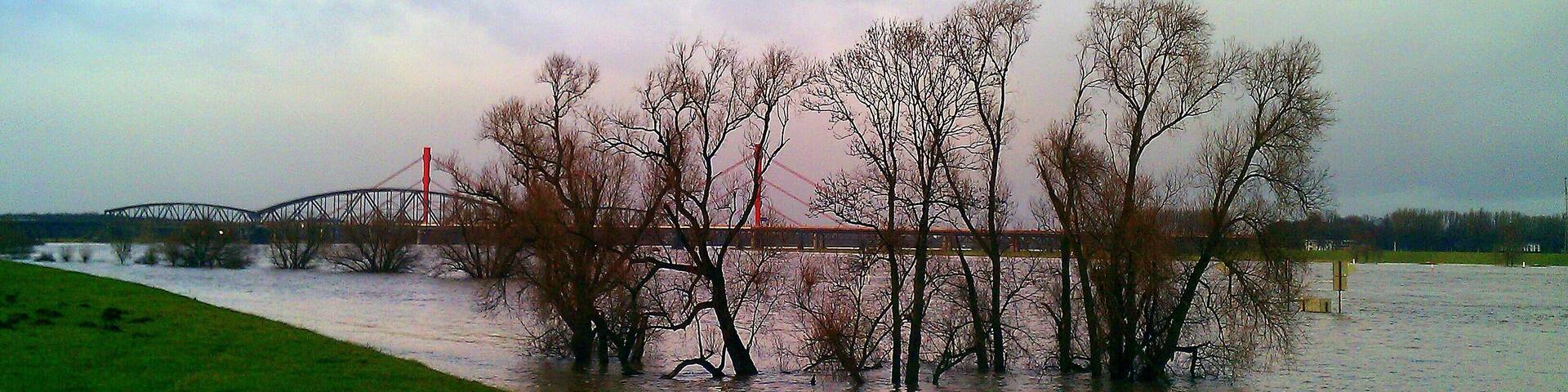 8. Januar 2012 - Duisburg-Barl - Hochwasser bei den Rheinbrücke der A42 und der Haus-Knipp-Eisenbahnbrücke