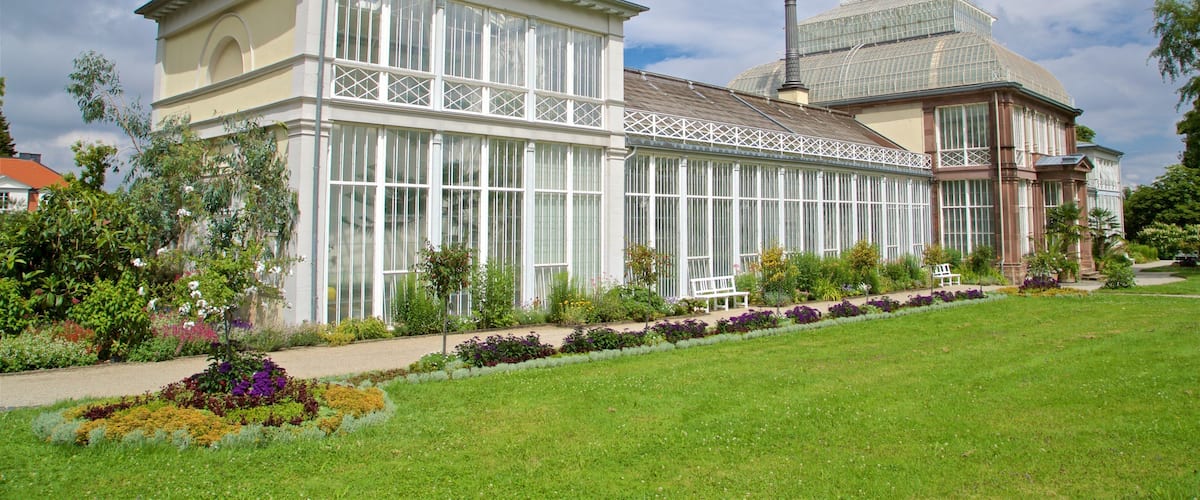 A large conservatory with glass walls and a dome roof, surrounded by well-maintained gardens and a lawn.