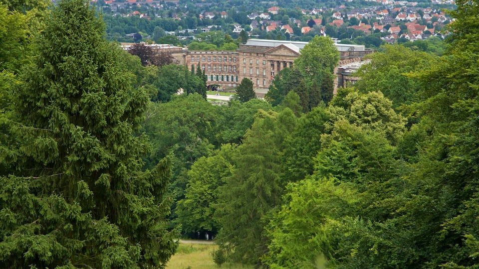Bergpark Wilhelmshoehe showing forest scenes, heritage architecture and a city