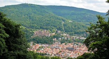 Heidelberg, Old Town, castle and Koenigstuhl, taken from the lookout tower Heiligenberg