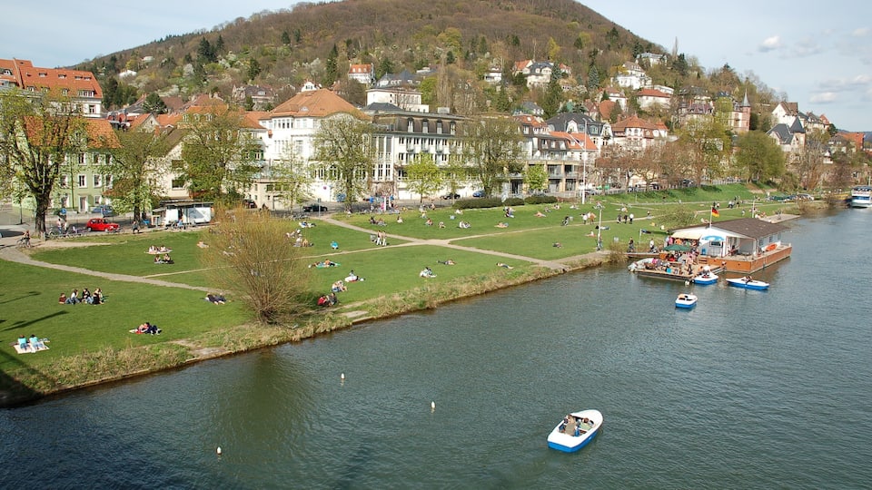 Neckarwiese in Heidelberg-Neuenheim