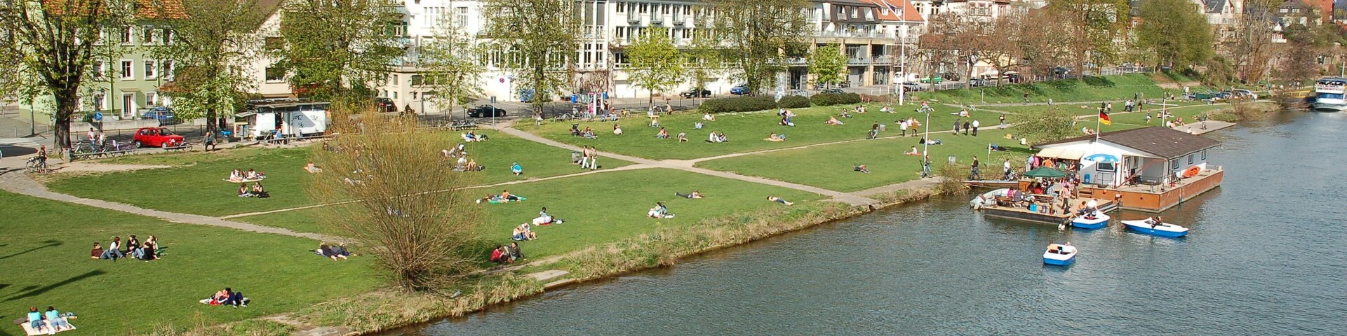 Neckarwiese in Heidelberg-Neuenheim