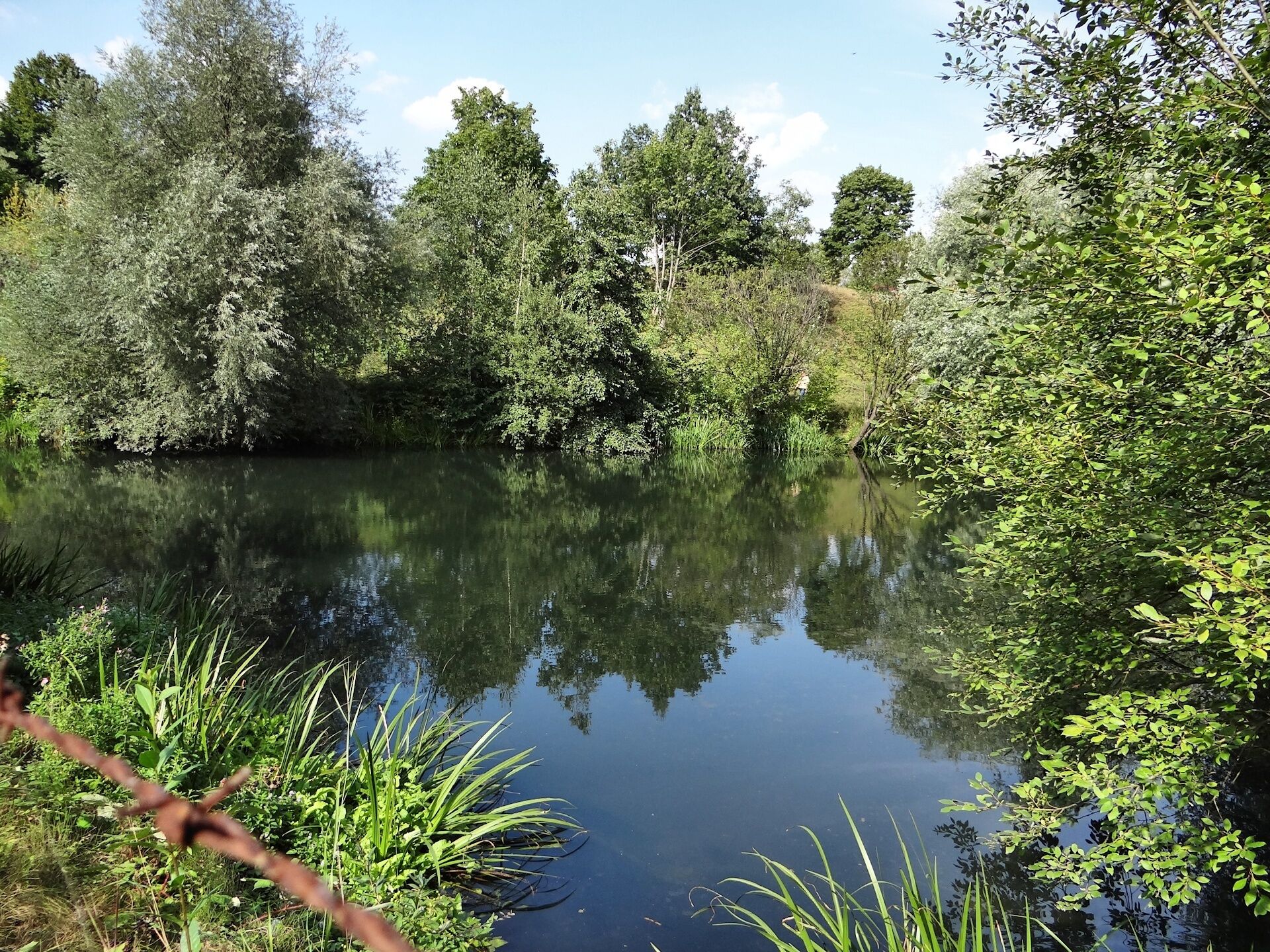 Blumenteich vom Ringgleis aus, vor dem Sanieren des geländes und vor dem Bau der Skaterhalle.