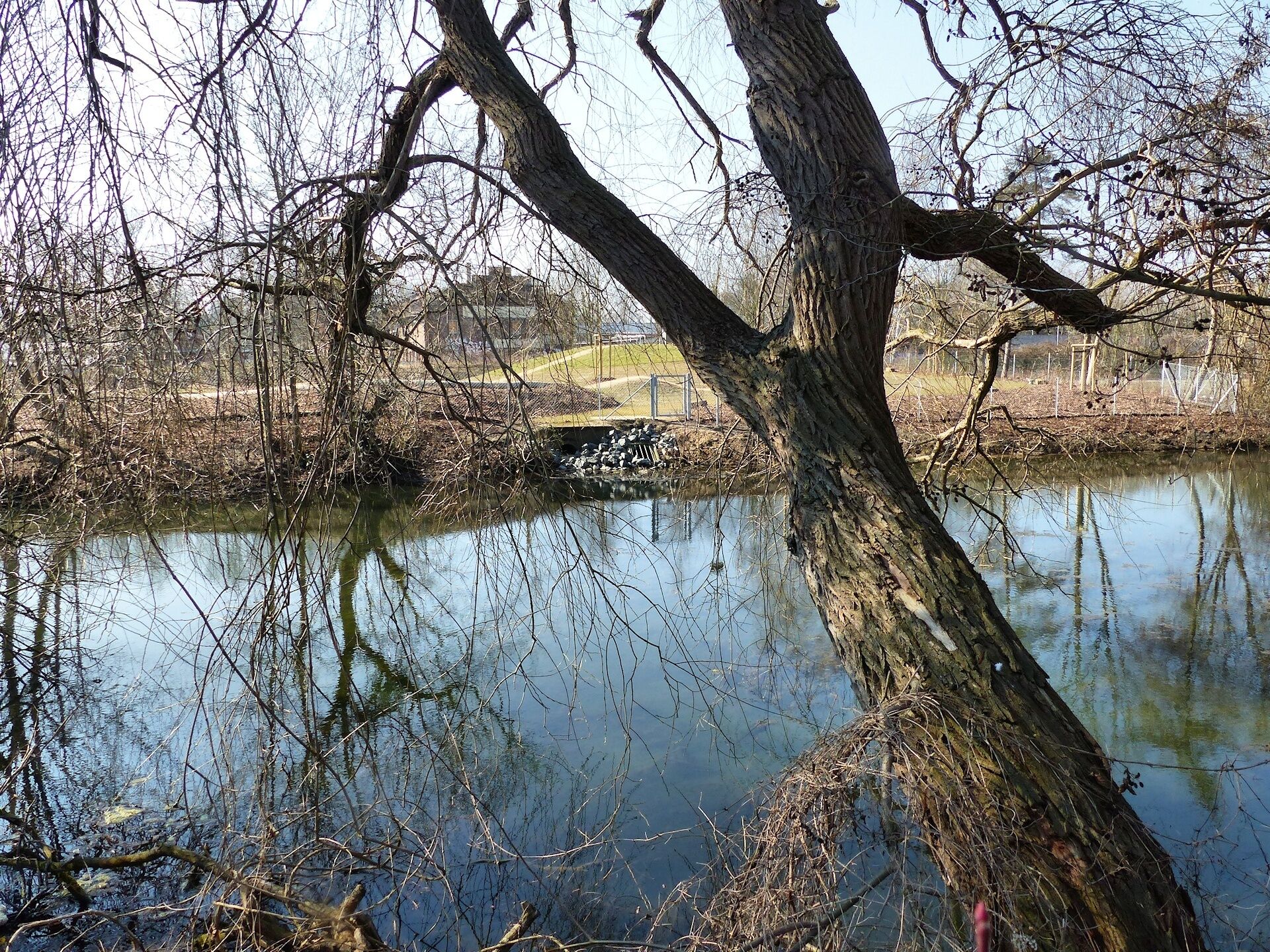 Blumenteich von der Nordostseite aus, Blick zum Einlauf des Jödebrunnengrabens bzw. Regenwasserkanals