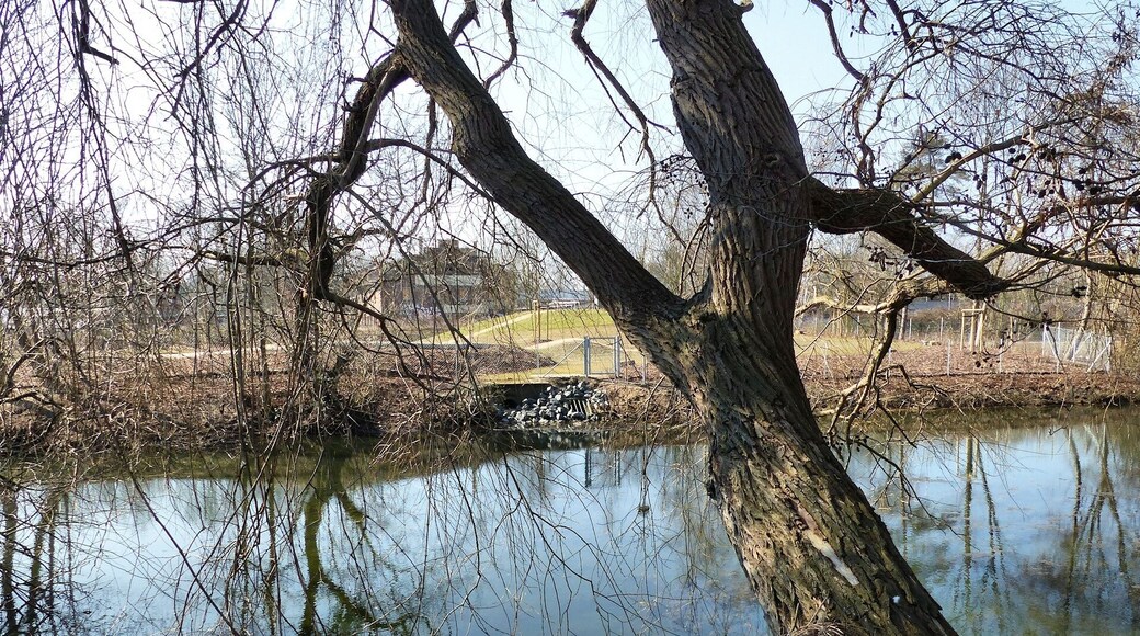 Blumenteich von der Nordostseite aus, Blick zum Einlauf des Jödebrunnengrabens bzw. Regenwasserkanals