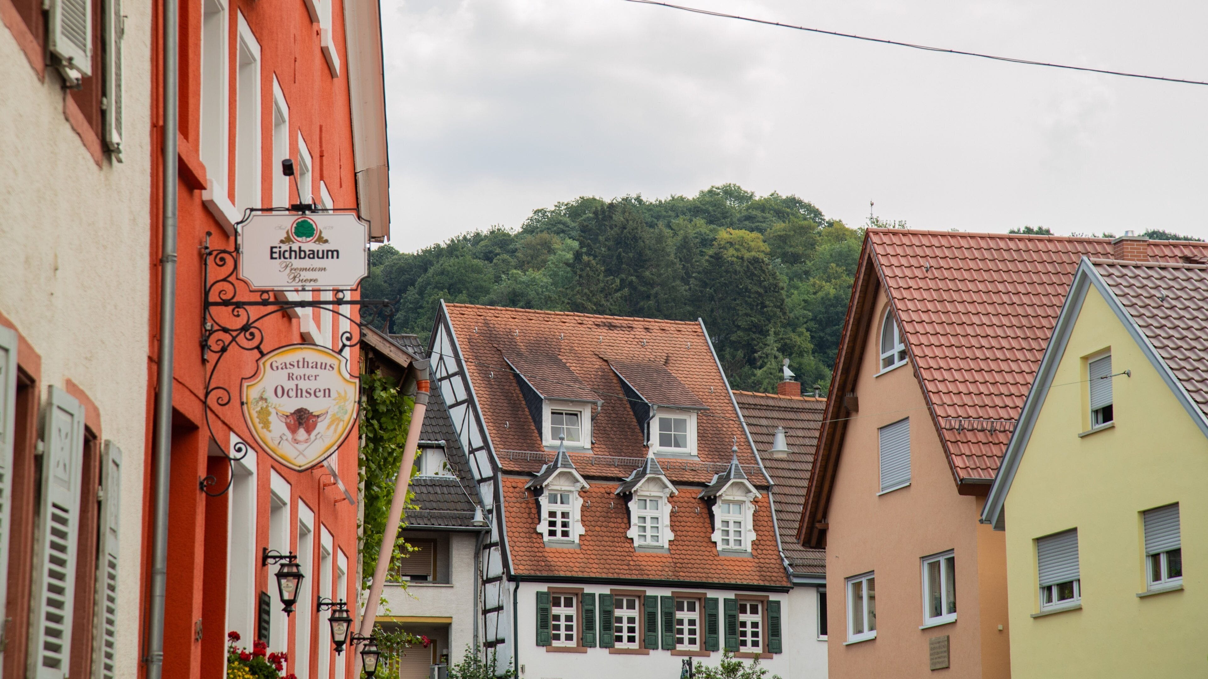 Rohrbach showing heritage elements