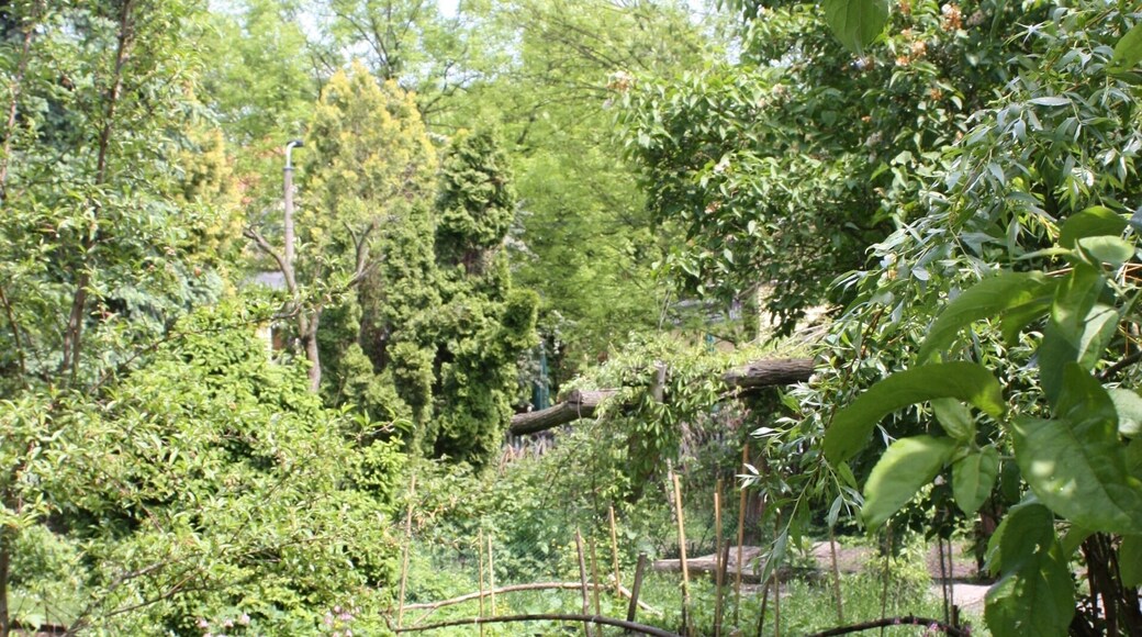 Dölitz (Leipzig), the water mill, the garden