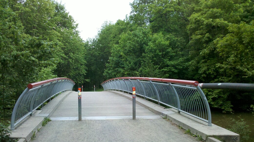 Hakenbrücke über die Pleiße unmittelbar im Nordnordwesten des Wildparks Leipzig im Mai 2015. Der Pleißeradweg bog links, vor Querung der Brücke, ab und verlief rechtsufrig der Pleiße weiter Richtung Süden. OSM-Karten Link.