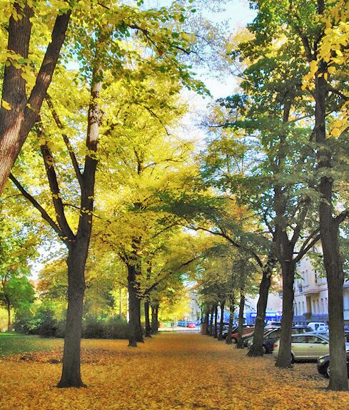 Südvorstadt, Leipzig, Germany