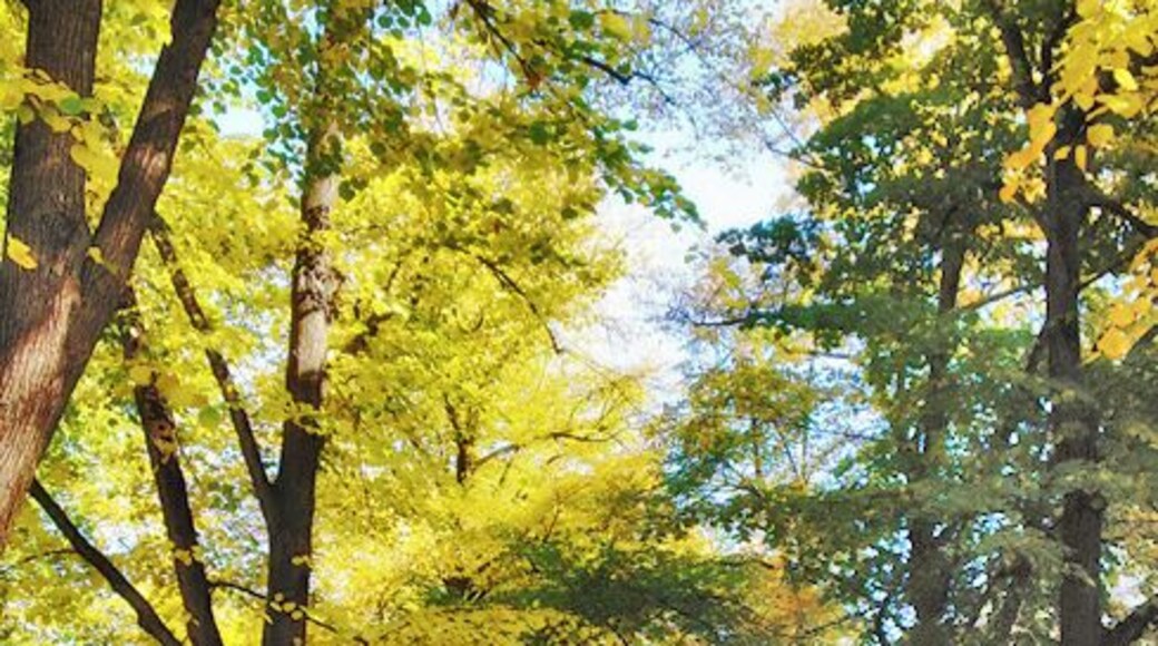 Südvorstadt, Leipzig, Germany