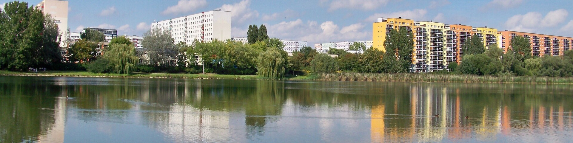 Der Silbersee in Leipzig, dahinter die Plattenbau-Silhouette des Stadtteils Lößnig im Süden der Stadt