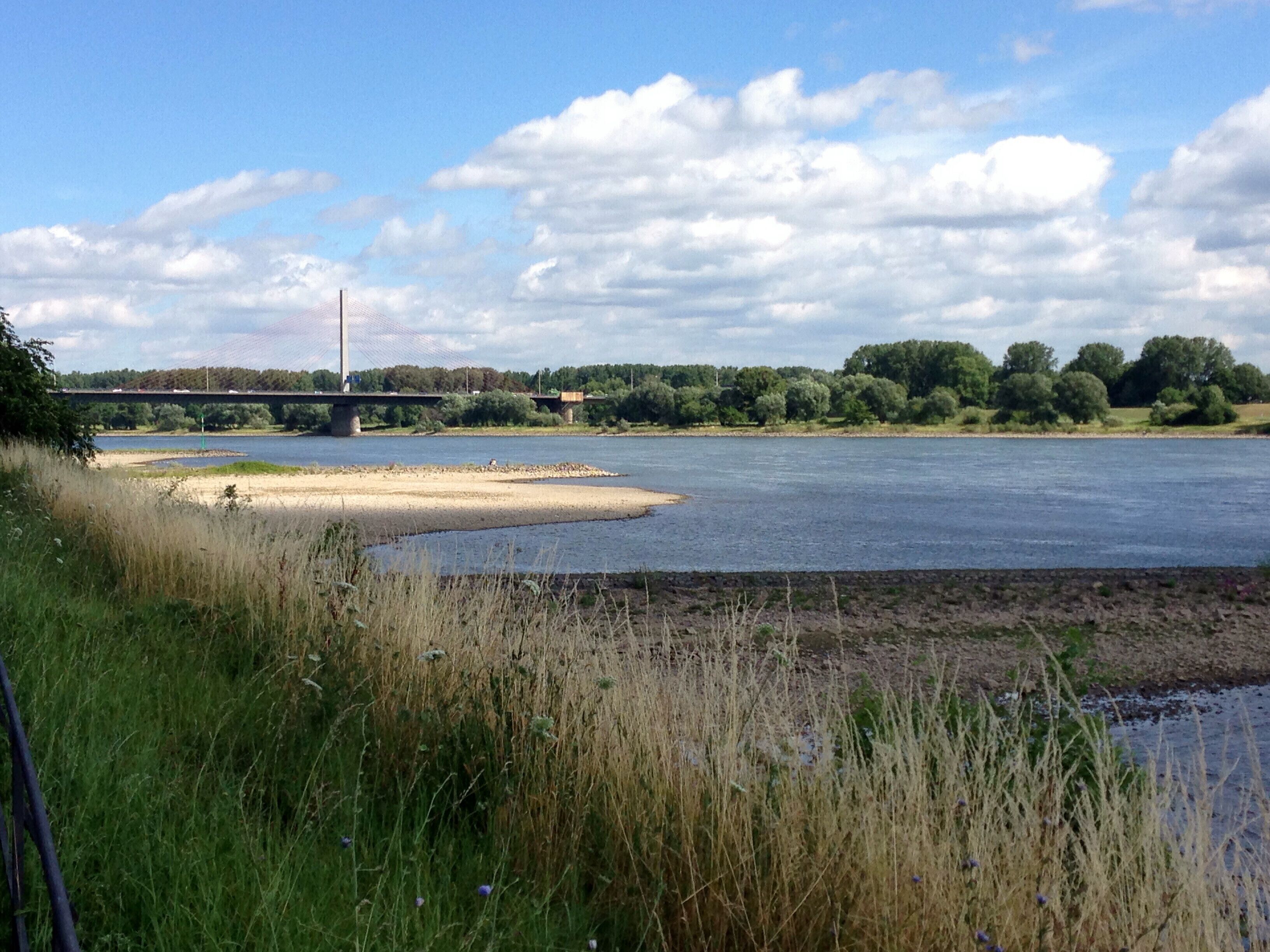 Friedrich-Ebert-Brücke (Südseite)