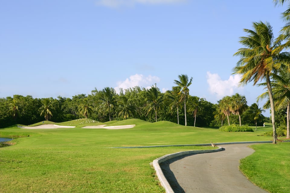 Un campo de golf con un sendero sinuoso, palmeras y un cielo azul despejado.