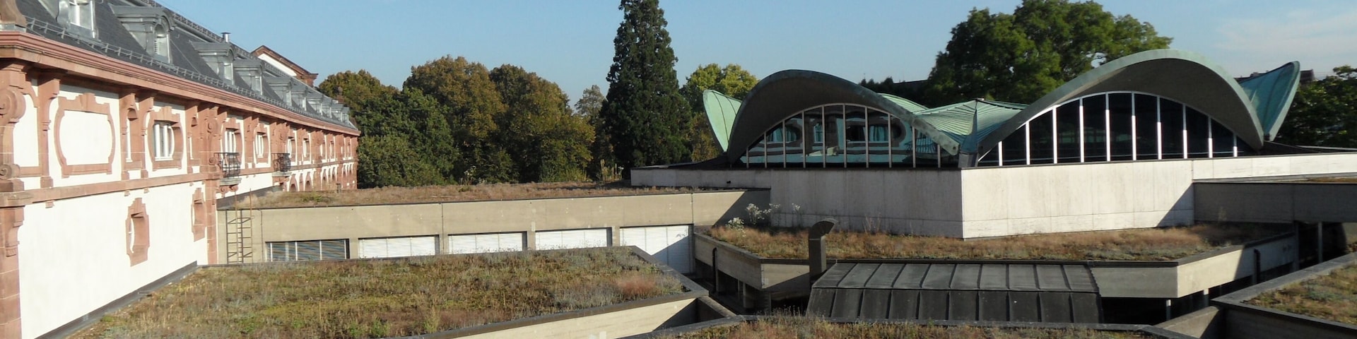 Universitätsbibliothek Basel Rückseite