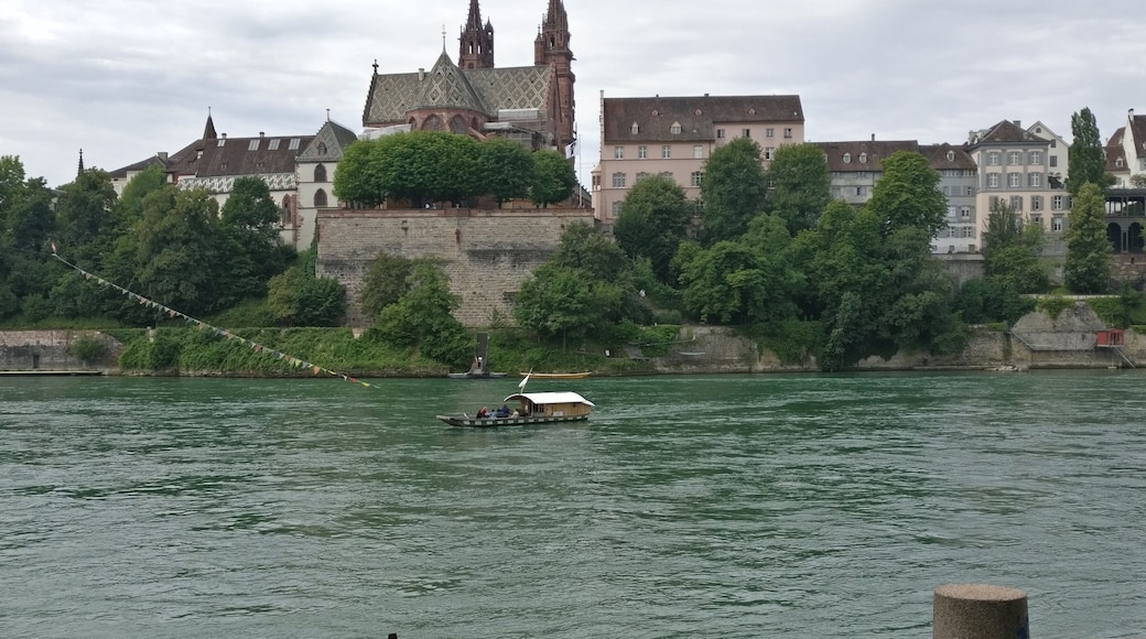 Why crossing over the river Rhine using an ordinary bridge? This ferry is a very special experience. The boat is guided and pulled by the water itself.(c)
#OrbitzTravel
