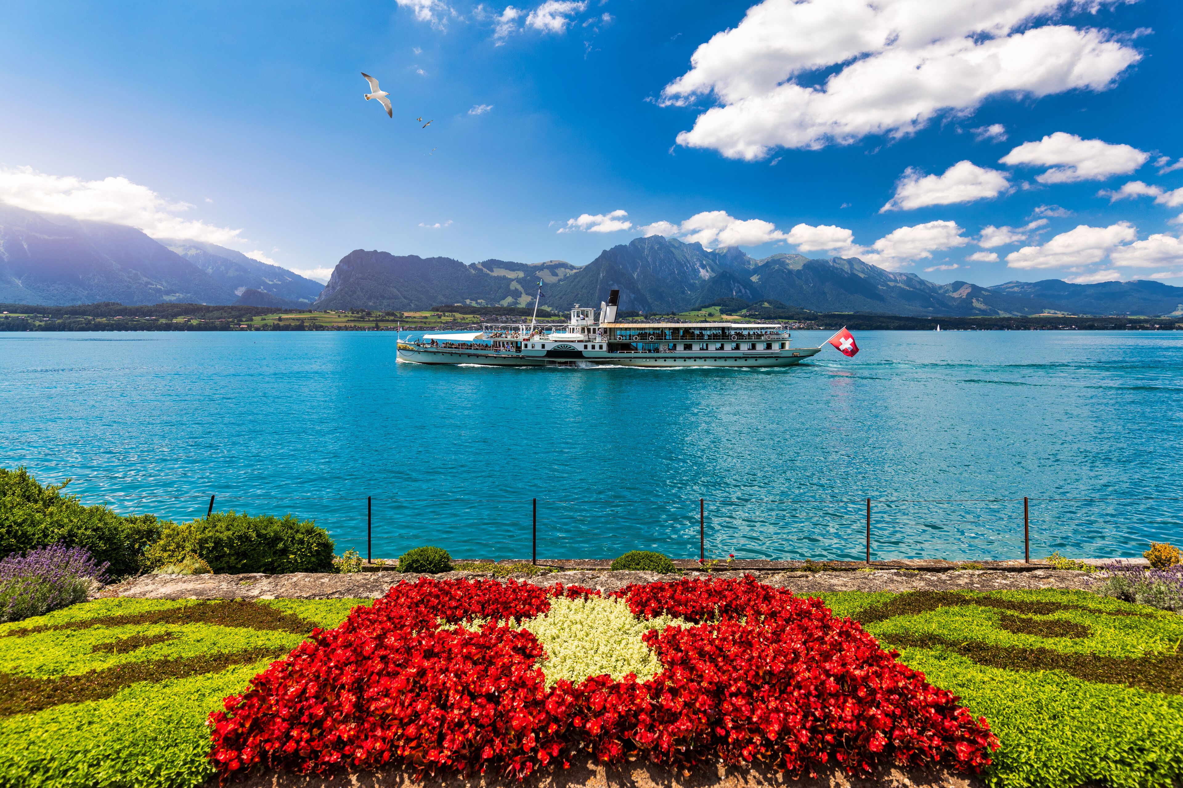 Flowerbed of the Swiss flag with boat cruise on the Thun lake and Alps mountains, Oberhofen, Switzerland. Swiss flag made of flowers and passenger cruise boat, Lake Thun, Switzerland.