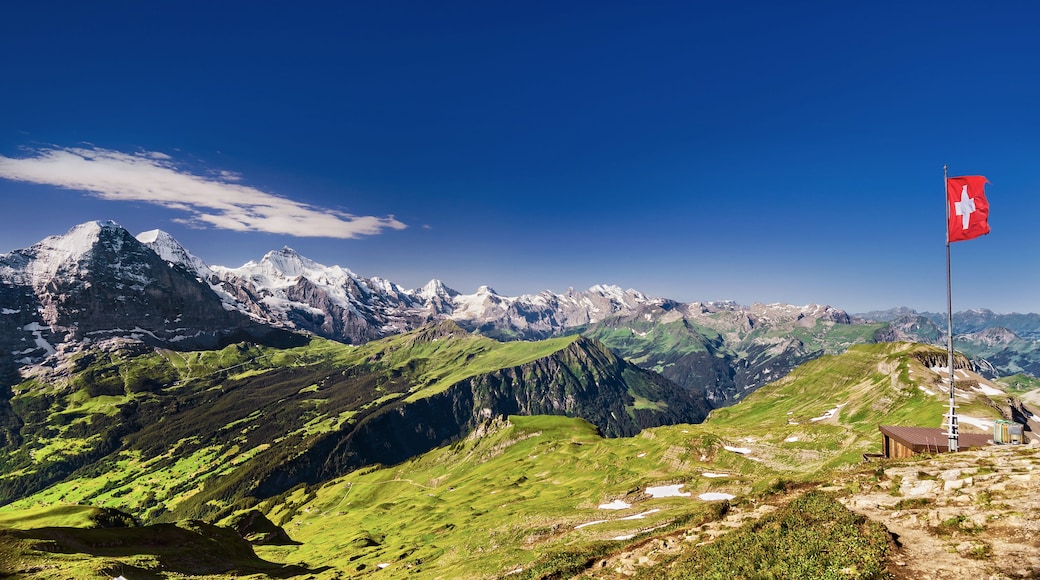 Central Interlaken