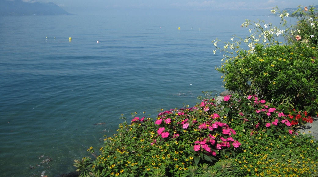 Around the lake of Geneva, Switzerland / France. Location see geotag.