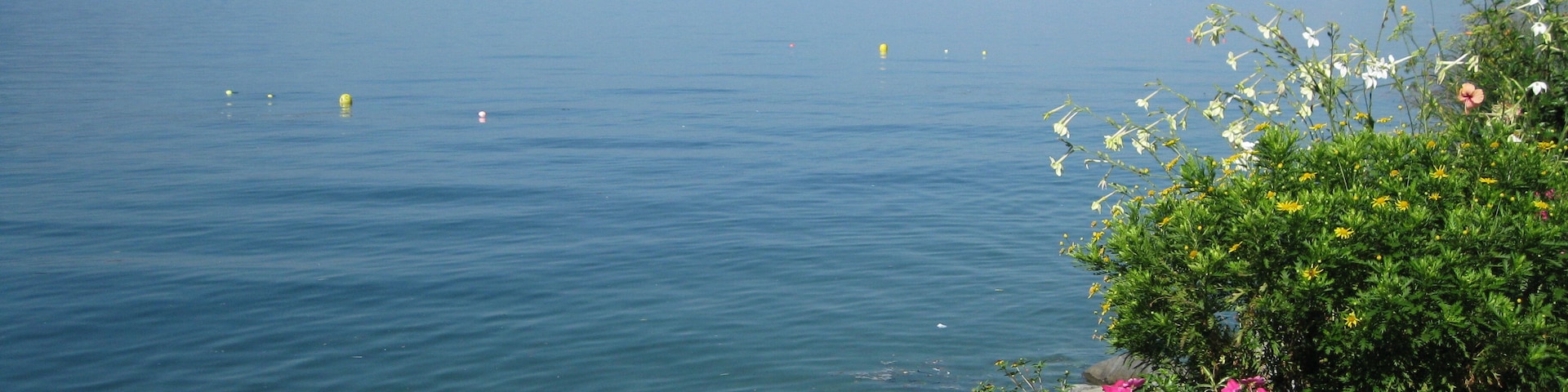 Around the lake of Geneva, Switzerland / France. Location see geotag.