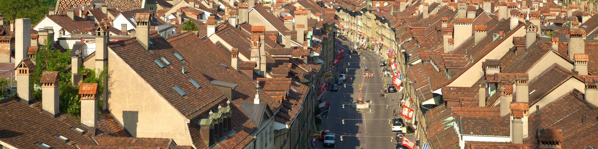 Old City of Bern featuring landscape views and a city