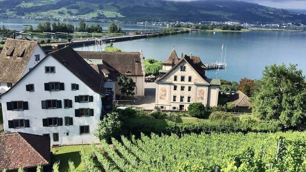 A vineyard, a white building, and a bridge over a lake.