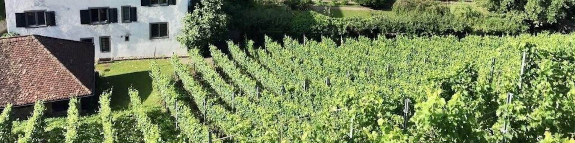 Rapperswil-Jona, town of roses located on the upper end of Lake Zurich, combines sights, cultural life, hiking and sports possibilities with a Mediterranean holiday atmosphere. Welcome to the riviera located on the upper end of Lake Zurich.