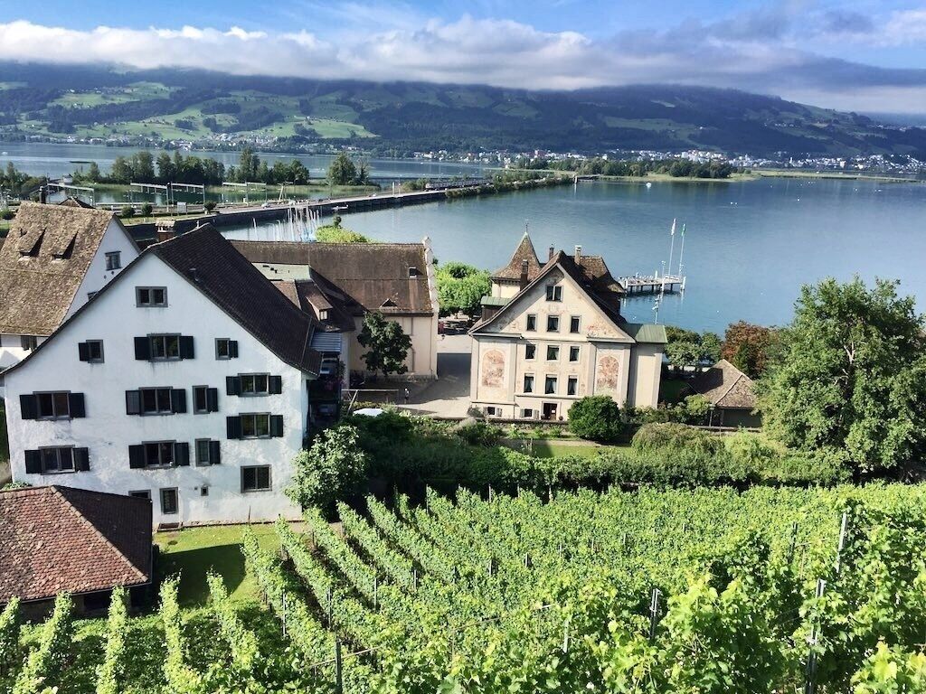 A vineyard, a white building, and a bridge over a lake.