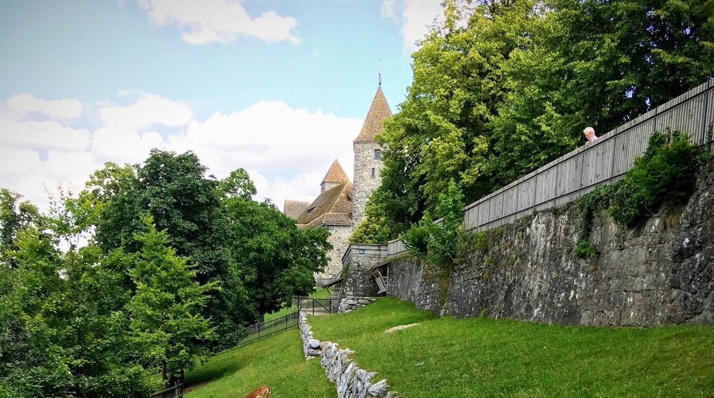 The Rapperswil Castle population is enjoying the sunshine! #lifeatexpedia #sunshine #Switzerland
