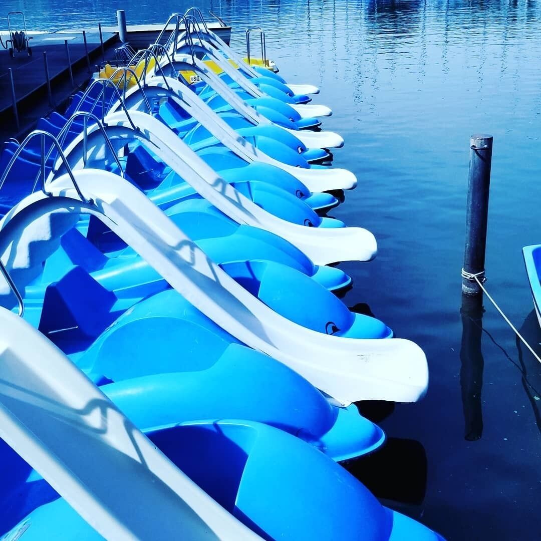 Take a dolphin paddle boat out on the blue waters of Lake Zurich.
#BVSBLUE 