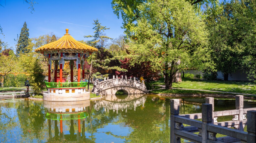 The Chinese Garden Zurich, Switzerland