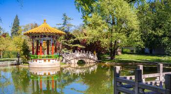 The Chinese Garden Zurich, Switzerland